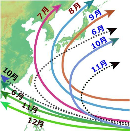 台風の傾向